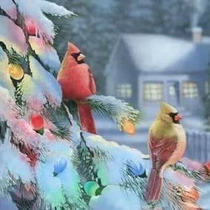 Meet your Posher, Connie